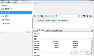 三、如何确保使用torrent种子猫的安全性
