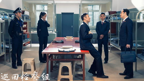 一、合法途径免费观看巡回检察组全集