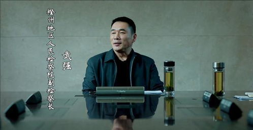 二、巡回检察组剧情简介