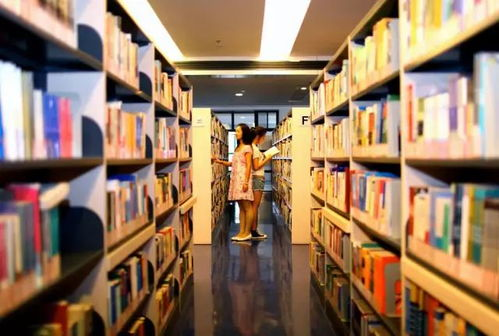 二、图书馆数字资源