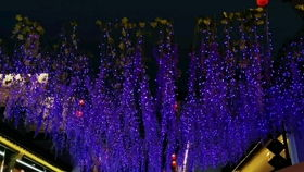 二、选择高清质量的星空视频