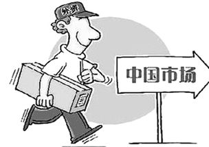 四、政治与安全合作的挑战