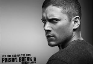 一、越狱第二季简介与亮点