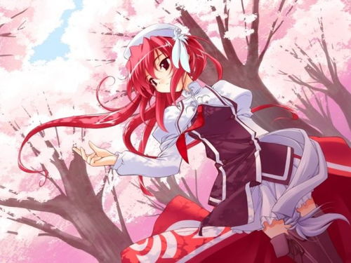 二、寻找合法的免费樱花动漫资源