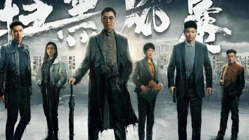 一、合法观看外国电视剧的途径