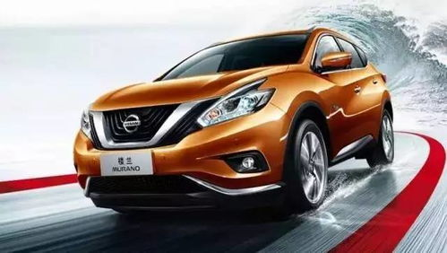 一、全新阵容，老成员与新血液的碰撞