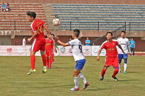 二、如何使用雨燕直播观看足球比赛