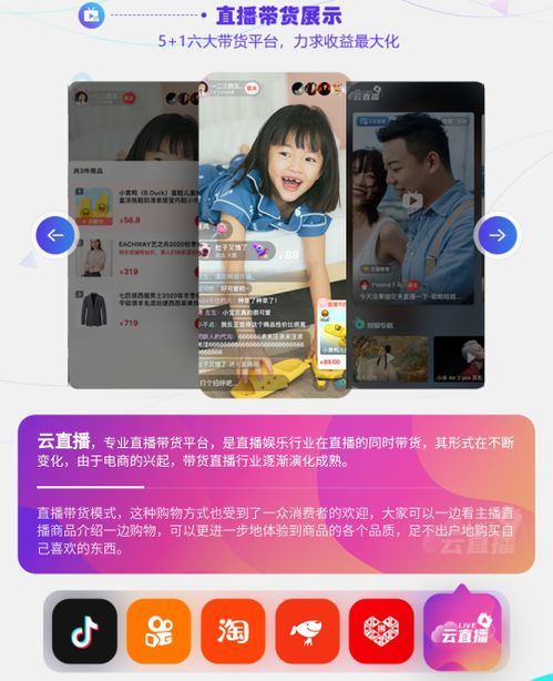 四、雨燕直播的用户互动体验