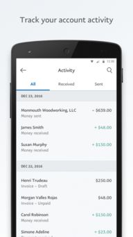 PayPal商业账户受限,paypal账号限制 资金冻结怎么处理