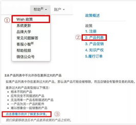 Wish平台侵权政策详解