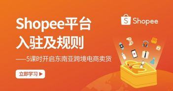 Shopee节假日大促销的背景与封店现象