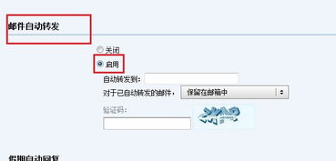 什么是Shopee西班牙站邮箱自动转发规则？