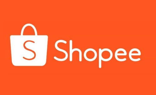 Shopee邮箱黑名单的常见成因解析