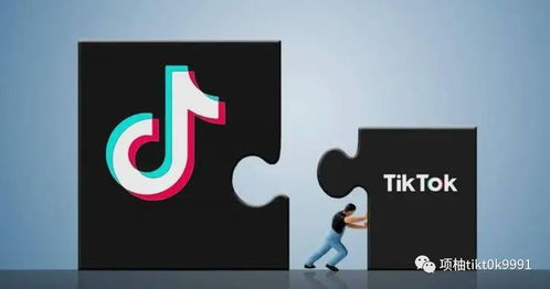 TikTok Shop短视频播放量的重要性