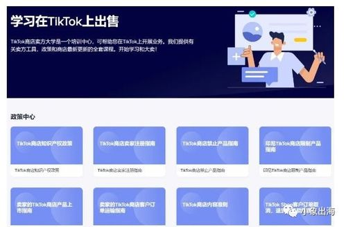 为什么TikTok Shop第三方仓授权至关重要？