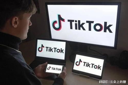 TikTok Shop销毁服务的重要性