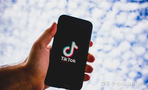 一、海关HS编码在TikTok Shop跨境电商中的核心作用与定义