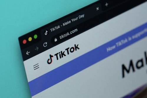 TikTok Shop赠品采购的重要性