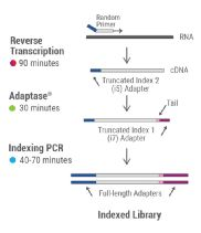 一、 精准定位与基础搭建：为粉丝群注入灵魂基因