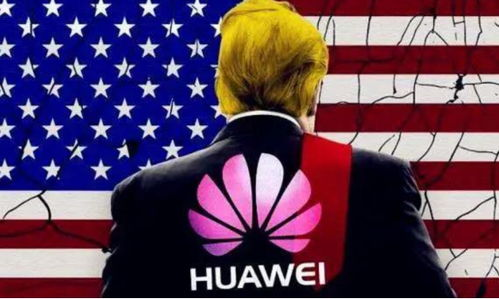 禁令的背景与原因