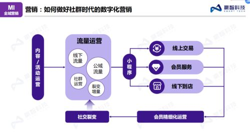 全域数智化能力的核心概念及其对头部企业的战略价值