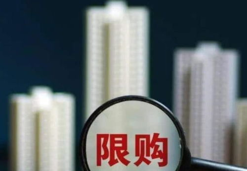 一、土耳其海关价值审查新规的核心内容与实施背景