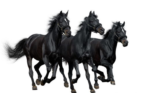 南美电商市场崛起的三驾马车：巴西、阿根廷、智利