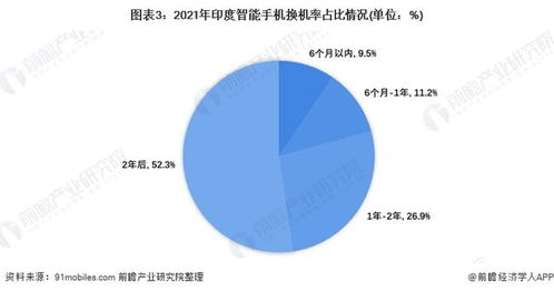印度市场竞争的现状与挑战