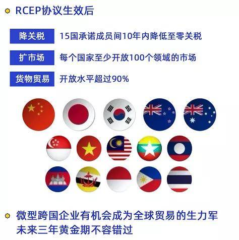 技术赋能：微型跨国企业崛起的核心引擎