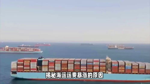 海运价格波动的原因与深远影响