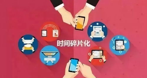 目的国国内快递网络碎片化挑战凸显