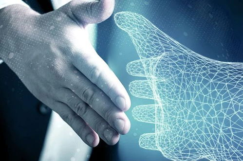 报关行专业性的定义与重要性