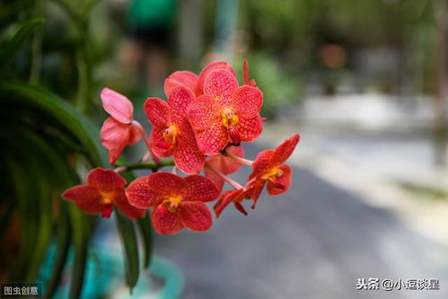 男性个护市场：精致主义觉醒，从基础到高端全面开花