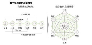 气候物理风险的多样形态及其对供应链节点的直接破坏