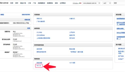 什么是RFC税号及其在墨西哥商业中的重要性