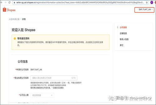 第一阶段：申请准备与提交（1-4周）