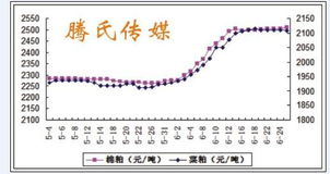 费用上涨的背景与原因
