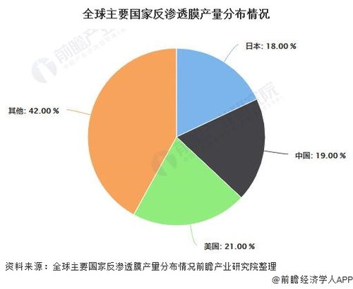 全球市场扩张的现状图谱与区域特性解析