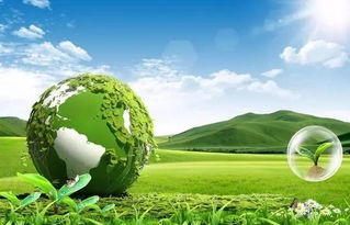 一、 全球环保意识觉醒驱动跨境绿色消费新纪元