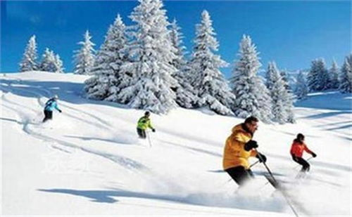 跨境滑雪装备市场概述