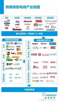 跨境婴儿的定义和背景