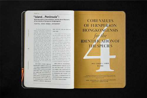 国际艺术创作工具的定义与核心价值