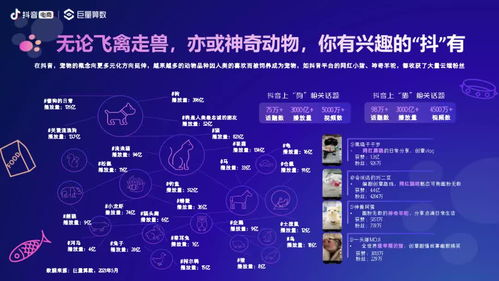 全球市场洞察：解码电子宠物消费热力地图与用户画像