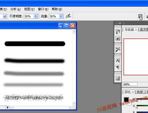 核心利器：TikTok Shop工具站的核心功能模块解析
