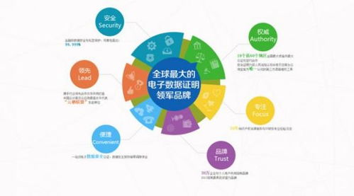 跨境保险规划的定义与重要性