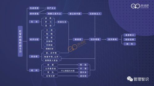 跨境KOL查找工具的定义与核心功能