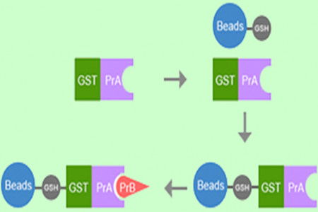 NFT工具简介及其在跨境环境中的应用