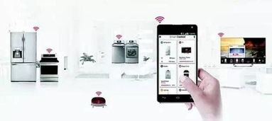 文化适配与本地化体验的智能解决方案