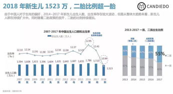品牌定位与市场洞察：数据驱动的决策基石