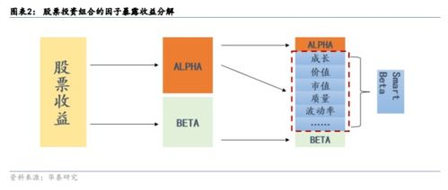理解跨境价格跟随的核心逻辑与价值驱动